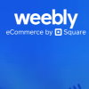 Weebly im Test - Erfahrungen mit dem Homepagebaukasten