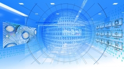 insatz eines Content Delivery Network (CDN)